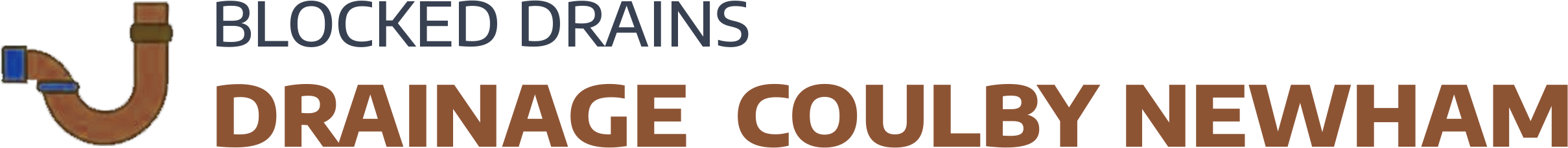 website logo